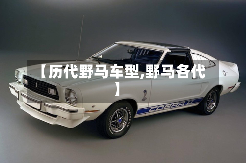 【历代野马车型,野马各代】