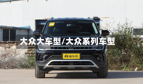 大众大车型/大众系列车型-第2张图片