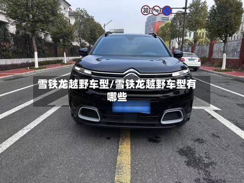 雪铁龙越野车型/雪铁龙越野车型有哪些-第2张图片
