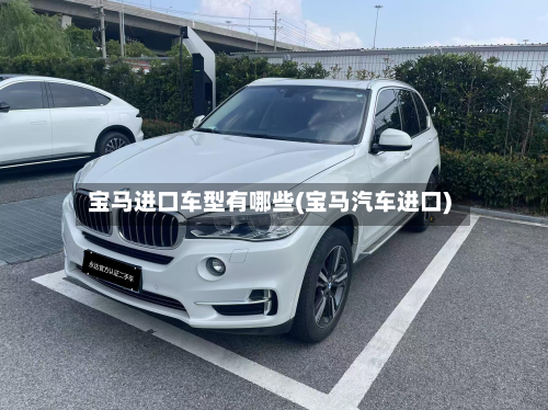 宝马进口车型有哪些(宝马汽车进口)-第3张图片