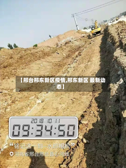 【邢台邢东新区疫情,邢东新区 最新动态】