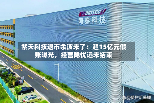紫天科技退市余波未了：超15亿元假账曝光，经营隐忧远未结束-第2张图片