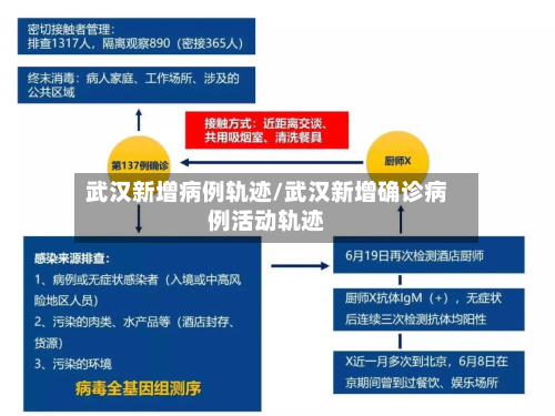 武汉新增病例轨迹/武汉新增确诊病例活动轨迹