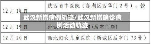 武汉新增病例轨迹/武汉新增确诊病例活动轨迹-第3张图片