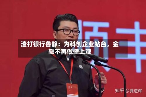 渣打银行鲁静：为科创企业站台，金融不再做壁上观-第2张图片