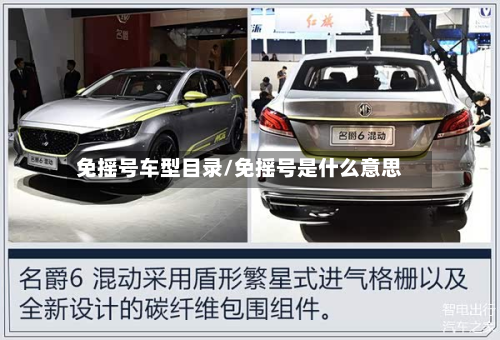免摇号车型目录/免摇号是什么意思