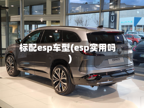 标配esp车型(esp实用吗)-第3张图片