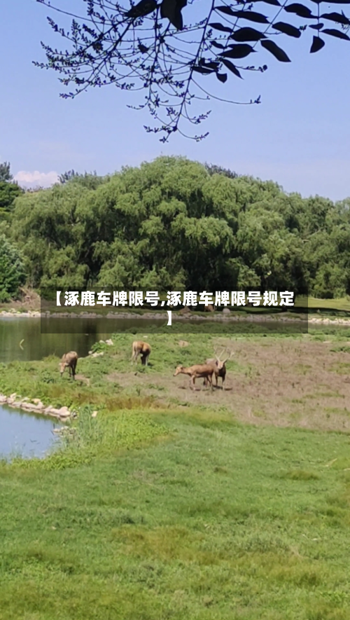 【涿鹿车牌限号,涿鹿车牌限号规定】-第3张图片