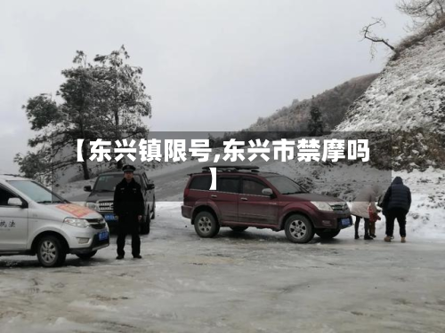 【东兴镇限号,东兴市禁摩吗】-第2张图片