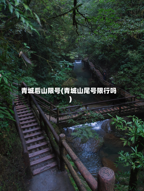 青城后山限号(青城山尾号限行吗)-第2张图片