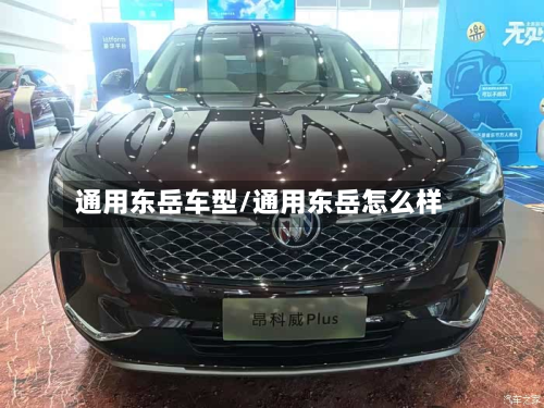 通用东岳车型/通用东岳怎么样