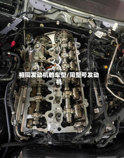 相同发动机的车型/同型号发动机-第2张图片
