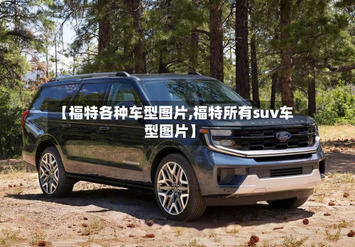 【福特各种车型图片,福特所有suv车型图片】