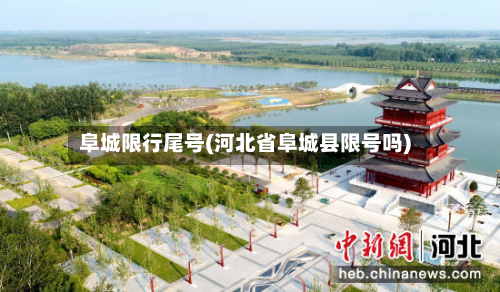 阜城限行尾号(河北省阜城县限号吗)-第2张图片