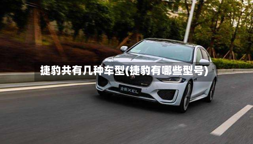 捷豹共有几种车型(捷豹有哪些型号)-第3张图片